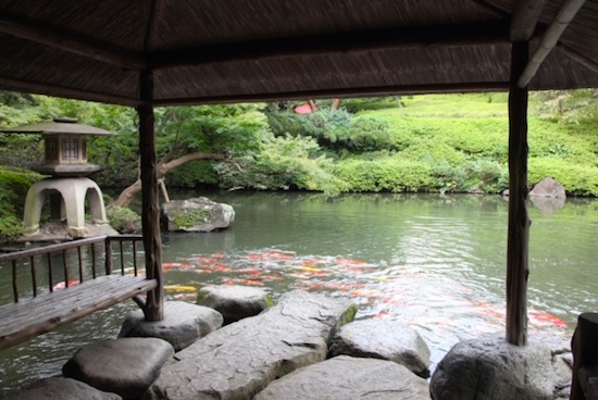 八芳園庭園の水亭から見える池