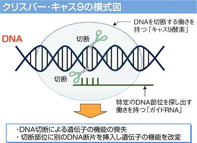 Cocシナリオフック Crisper 遊星からの探索者x