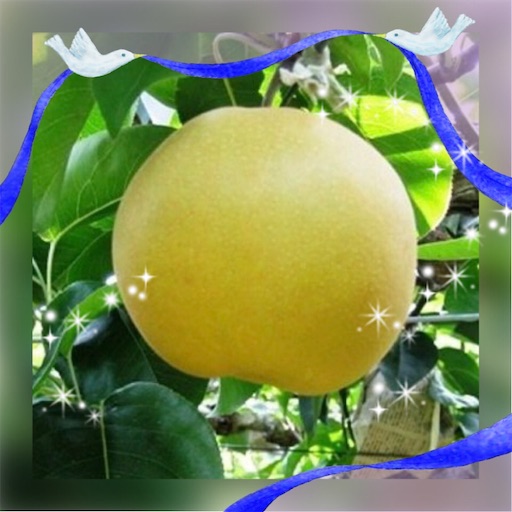f:id:Laru:20200810224855j:image f:id:Laru:20200810224855j:image