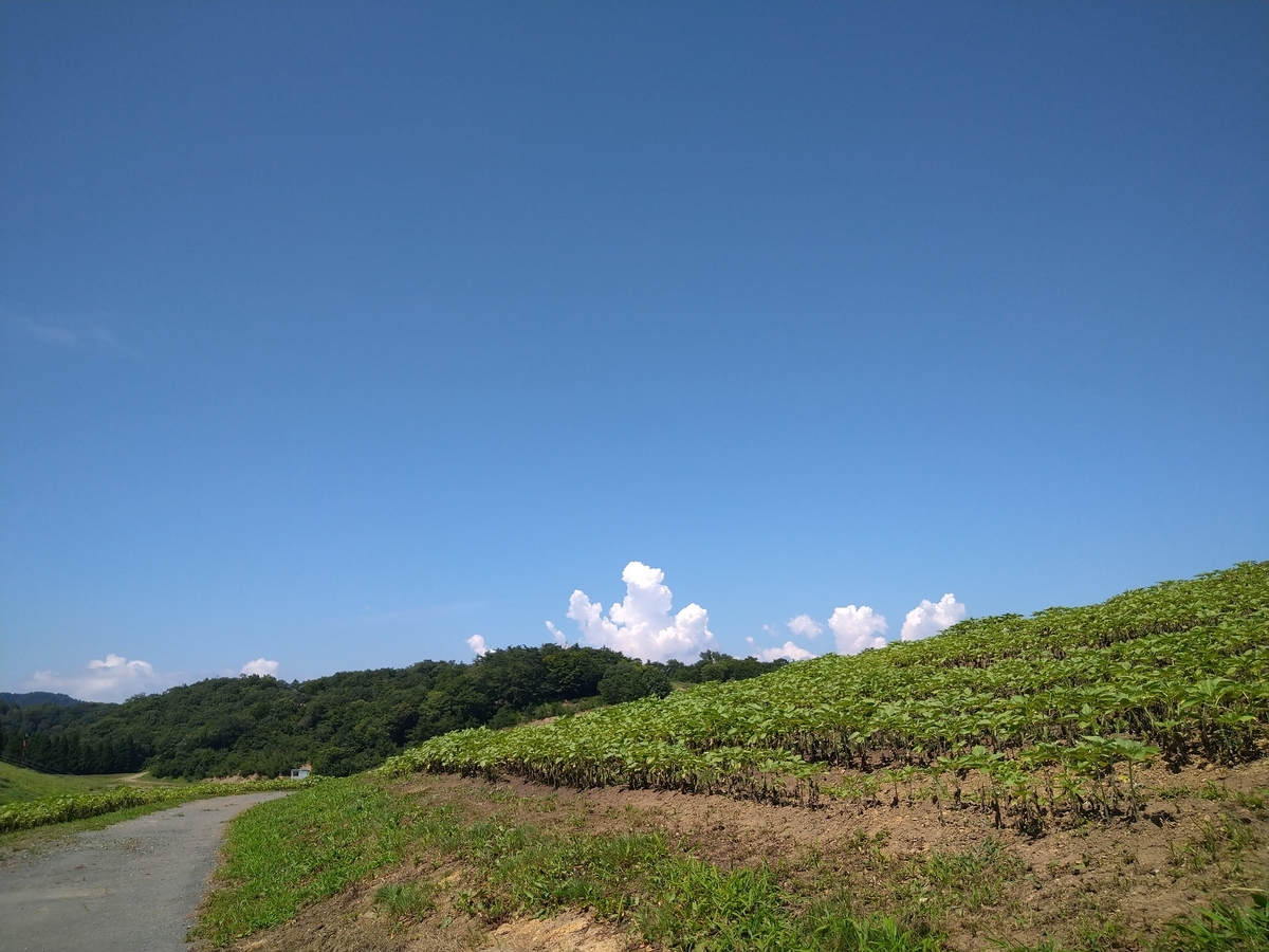 ミヒャエル エンデとは 読書の人気 最新記事を集めました はてな