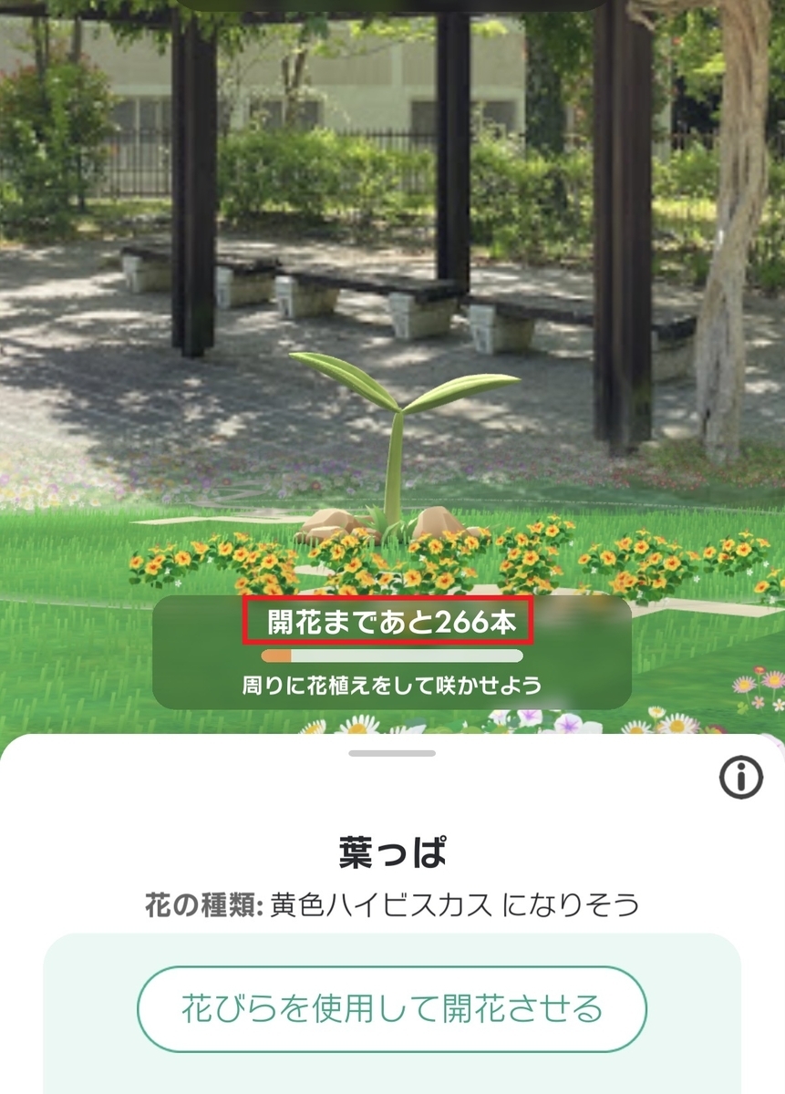 花植え本数の怪 - Lavistaの日記