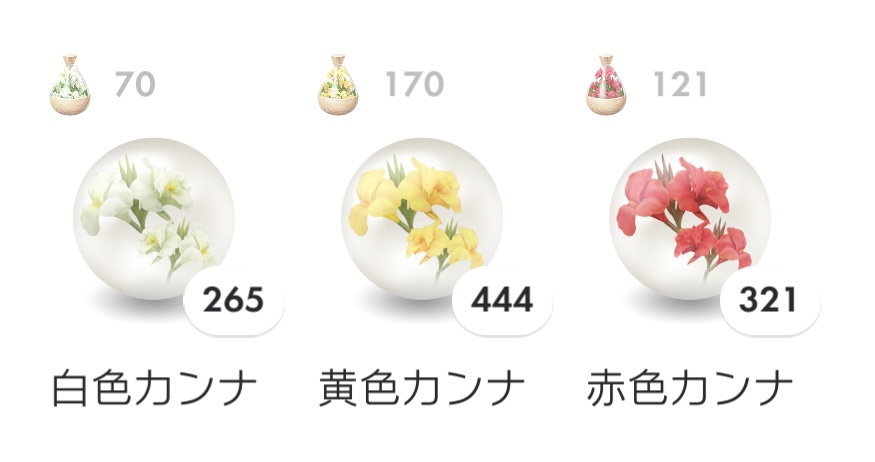 今週末はカンナのコミュニティ・デイ
