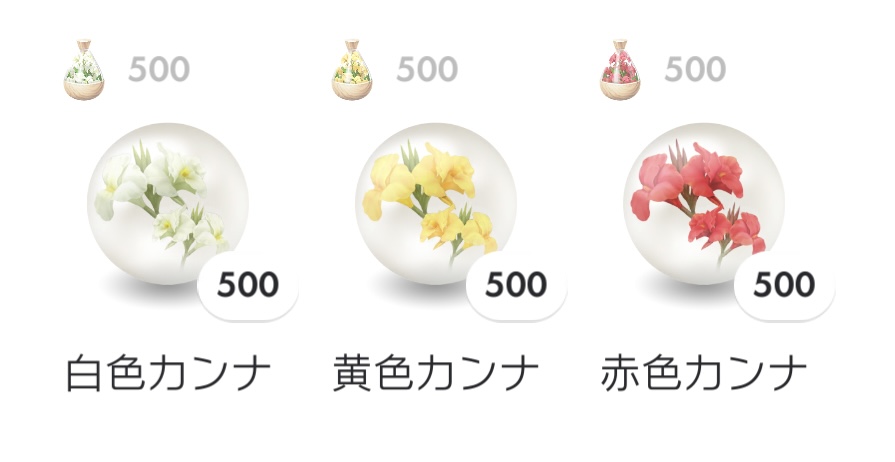 カンナのコミュニティ・デイ終了