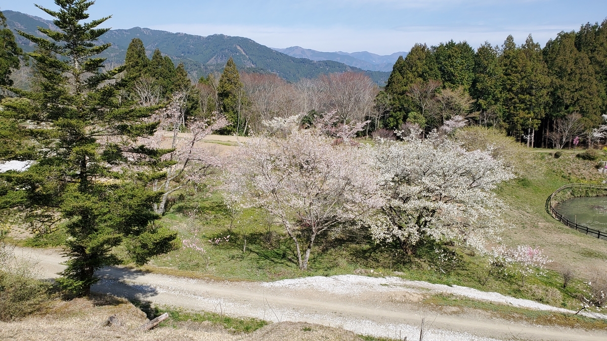 f:id:Lcamp:20201223235336j:plain