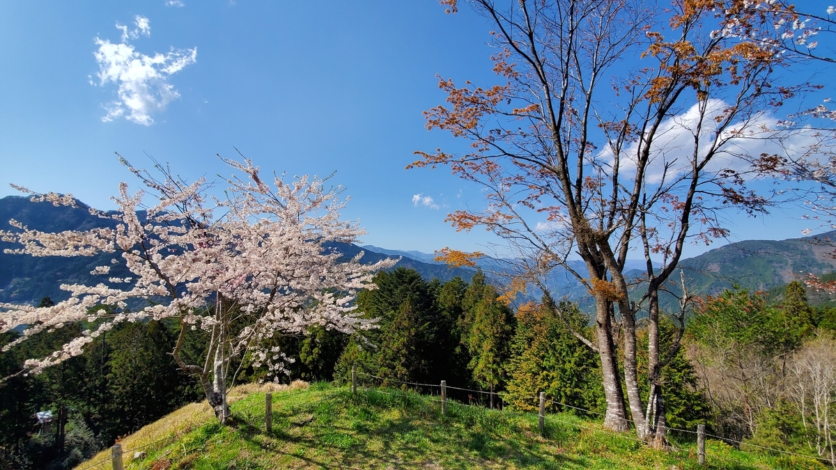 f:id:Lcamp:20201223235422j:plain