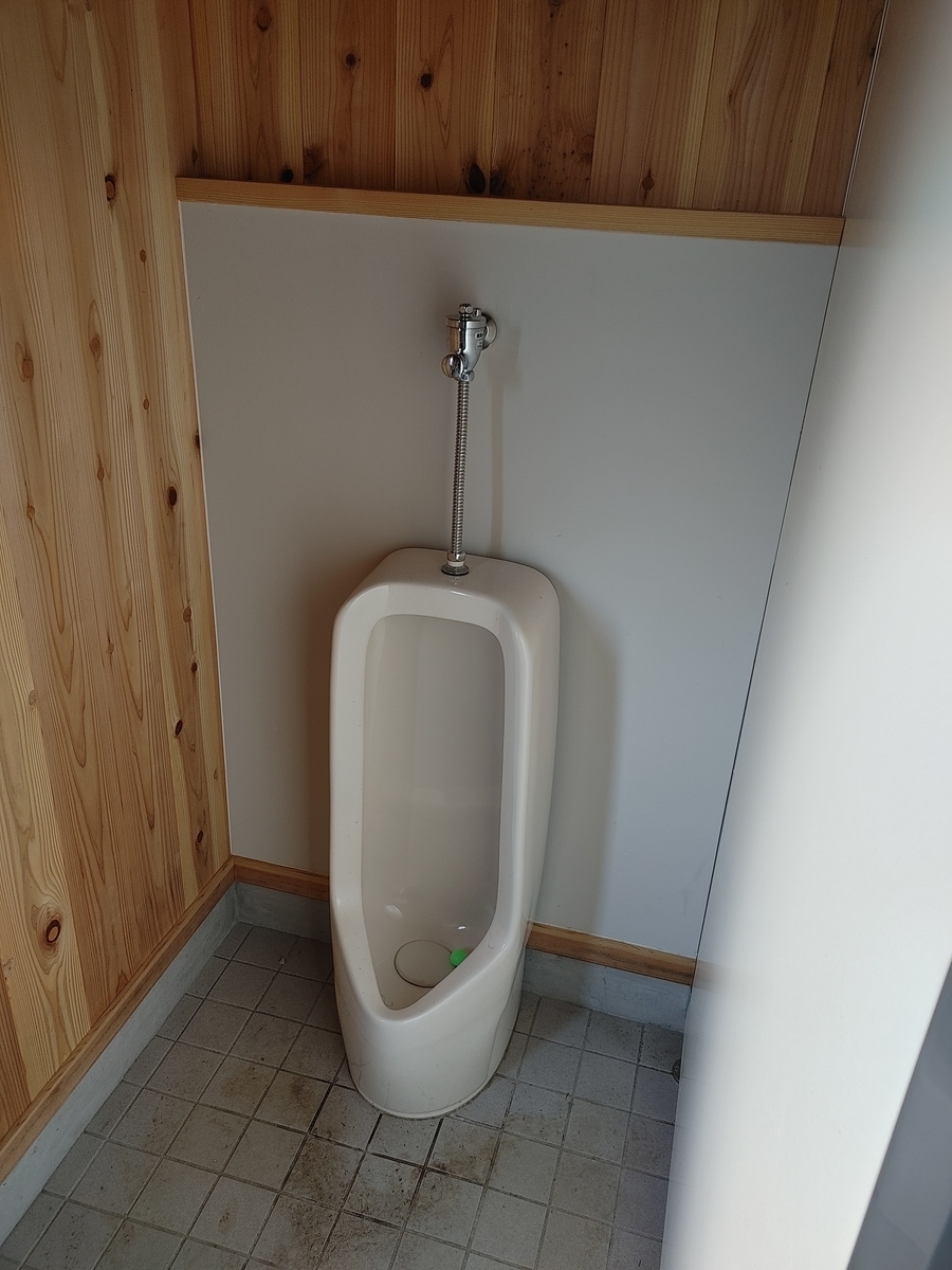 f:id:Lcamp:20201223235433j:plain