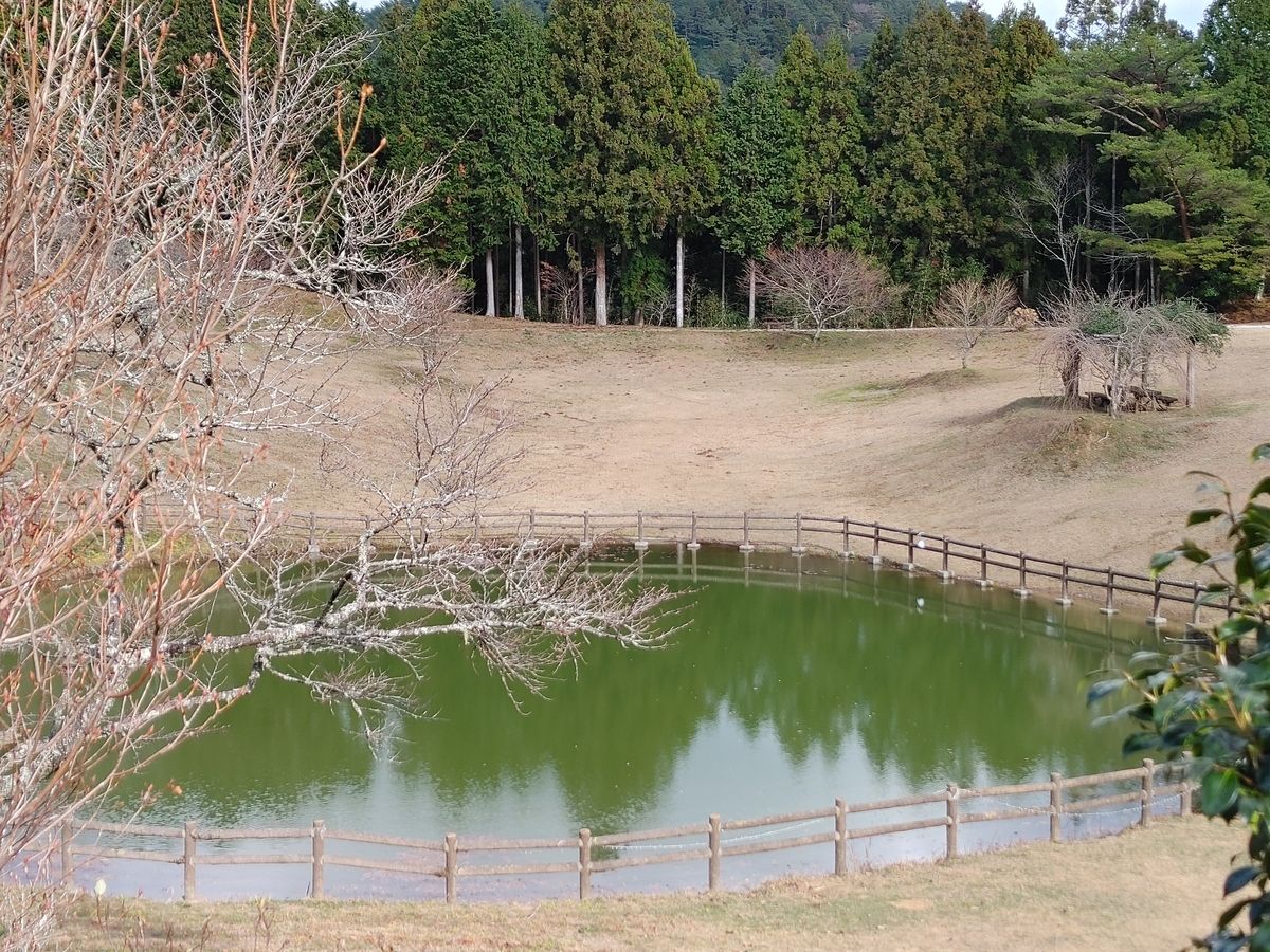 f:id:Lcamp:20201223235624j:plain