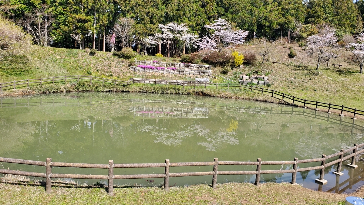 f:id:Lcamp:20201223235810j:plain