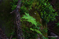 20220815161043