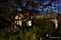 20230102102539 20230102102539