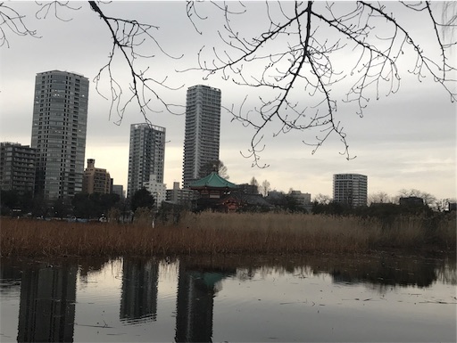 f:id:LeFlaneur:20190227235021j:image f:id:LeFlaneur:20190227235021j:image