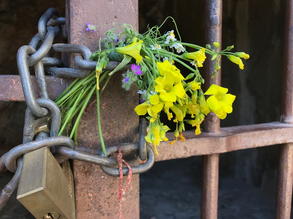 f:id:LeFlaneur:20190814112036j:plain f:id:LeFlaneur:20190814112036j:plain