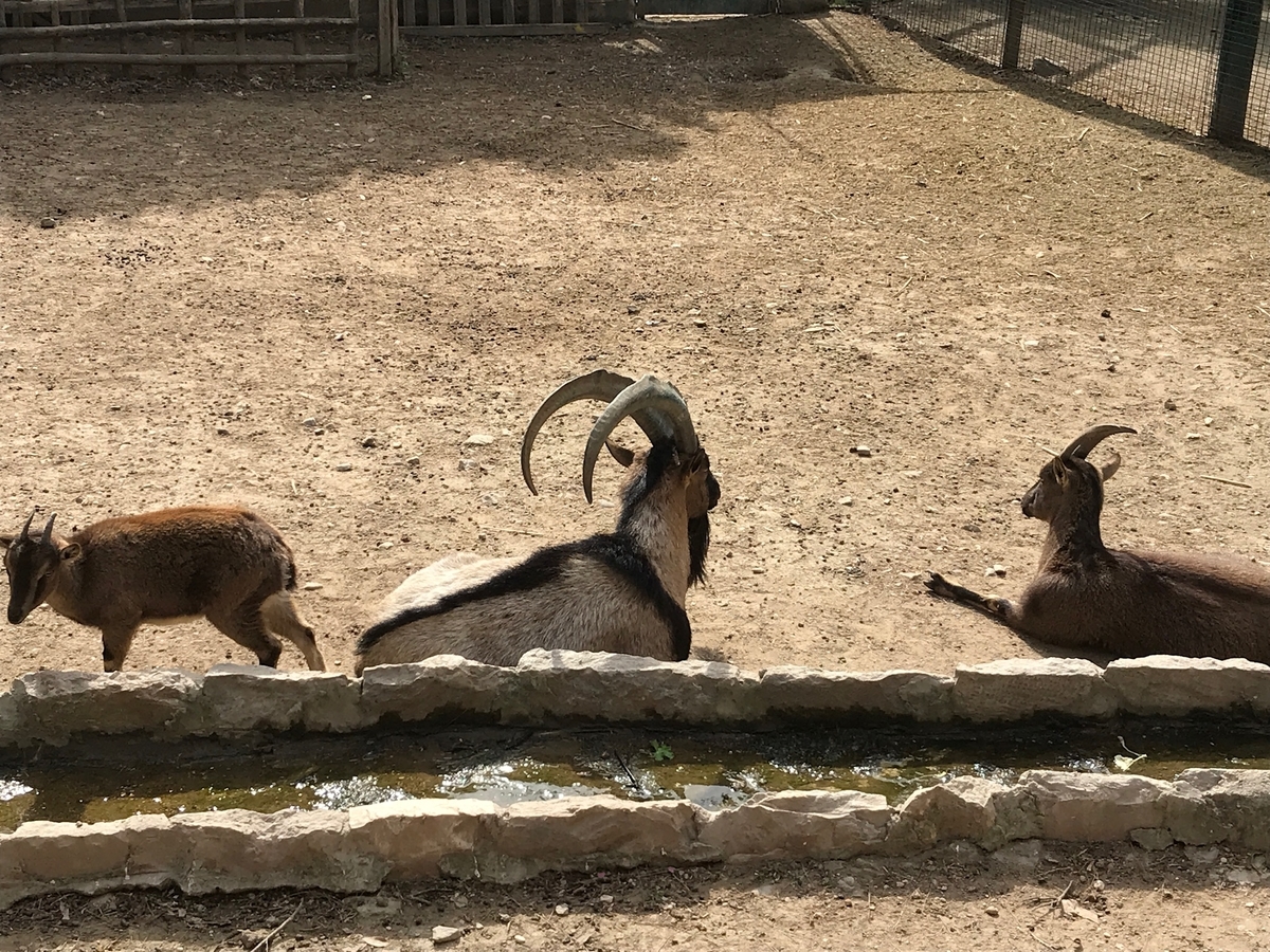 f:id:LeFlaneur:20190821162242j:plain f:id:LeFlaneur:20190821162242j:plain