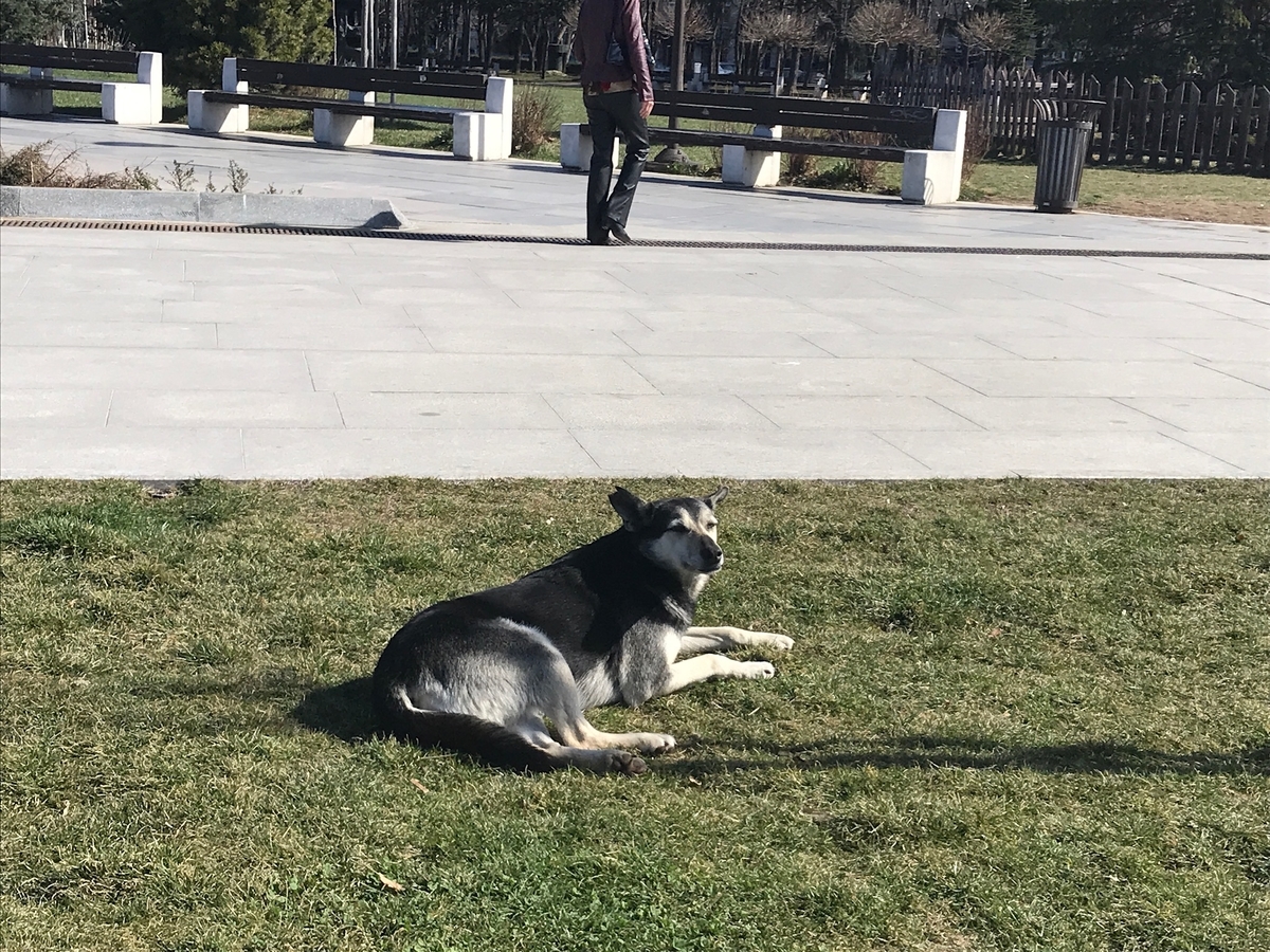 f:id:LeFlaneur:20191102225747j:plain f:id:LeFlaneur:20191102225747j:plain