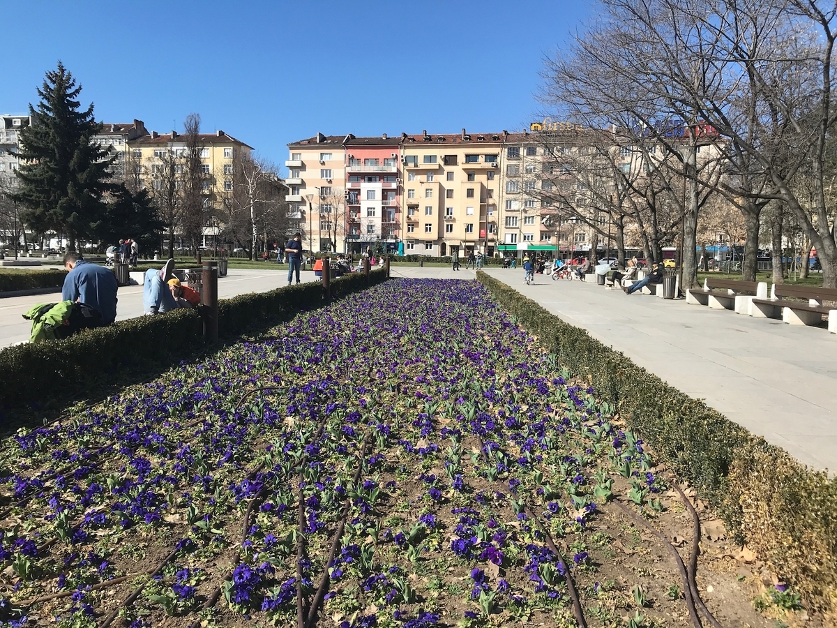 f:id:LeFlaneur:20191102225922j:plain f:id:LeFlaneur:20191102225922j:plain