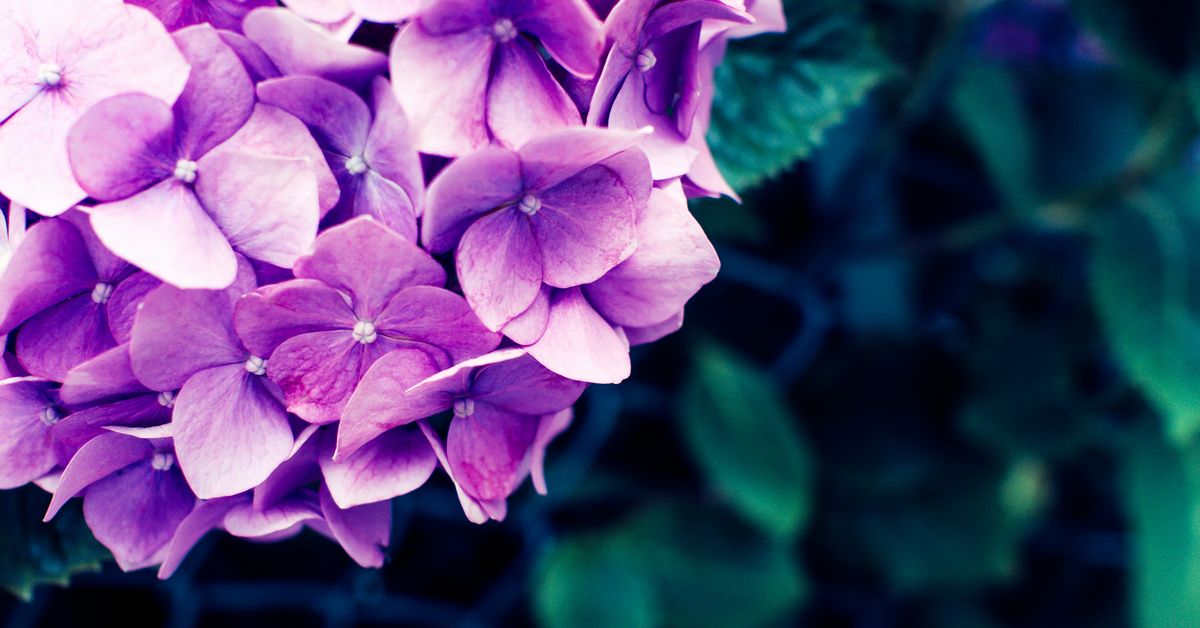 f:id:LearningToReadJapanese:20190719174939j:plain f:id:LearningToReadJapanese:20190719174939j:plain