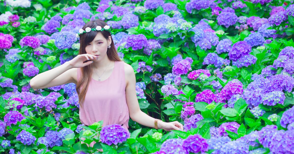 f:id:LearningToReadJapanese:20190719175018j:plain f:id:LearningToReadJapanese:20190719175018j:plain