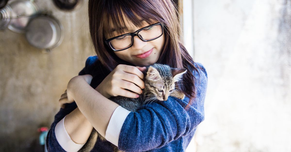 f:id:LearningToReadJapanese:20190722174709j:plain f:id:LearningToReadJapanese:20190722174709j:plain