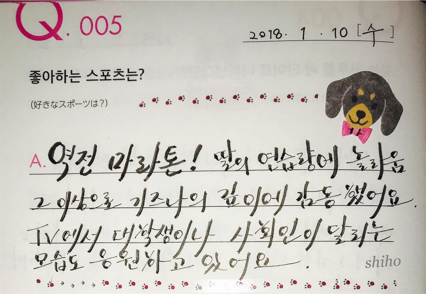 好きなスポーツは Q A Diary ハングルで3行日記 Day5 Leeminho Chain