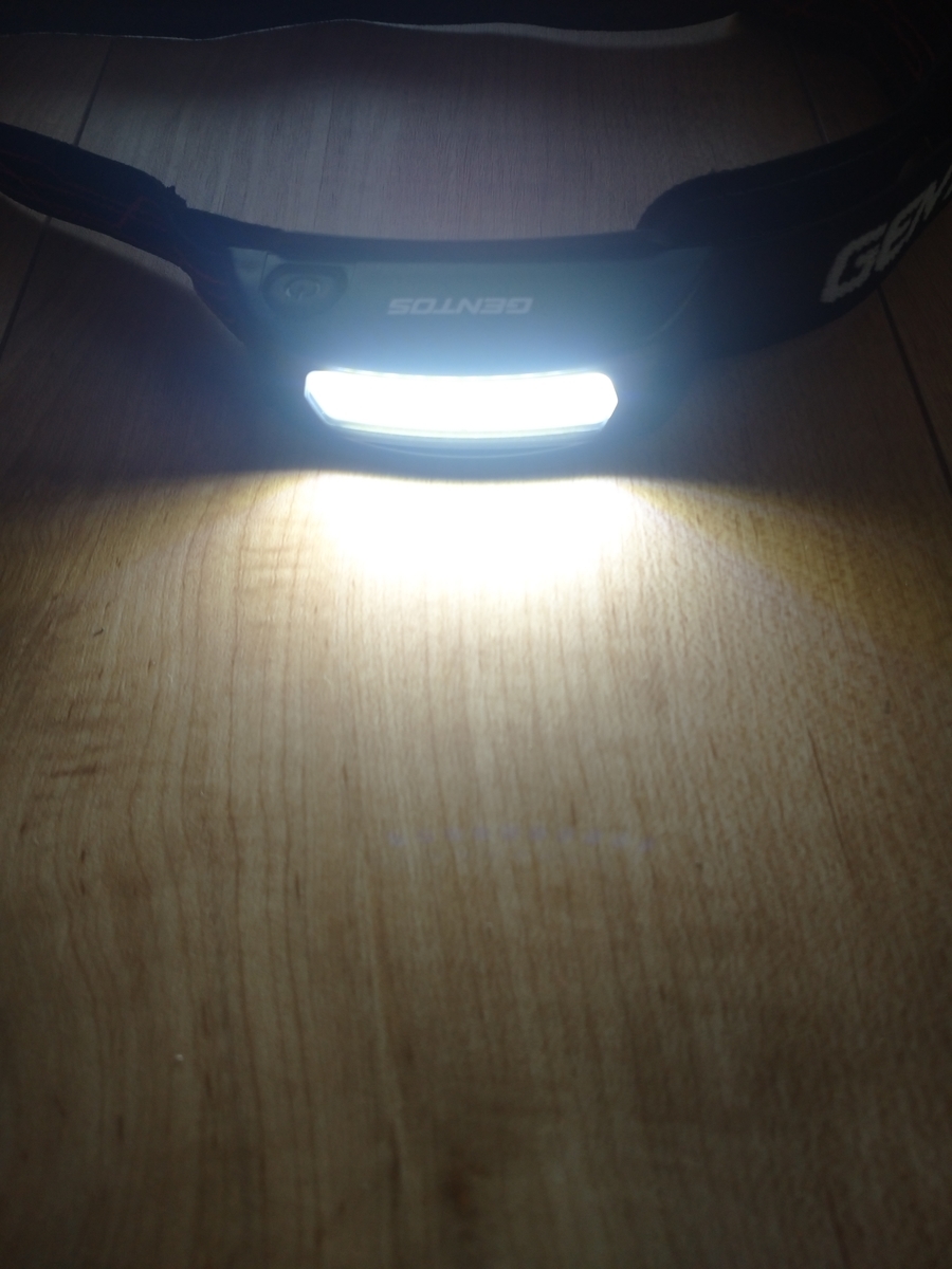f:id:Legit_Innovation:20201110235714j:plain