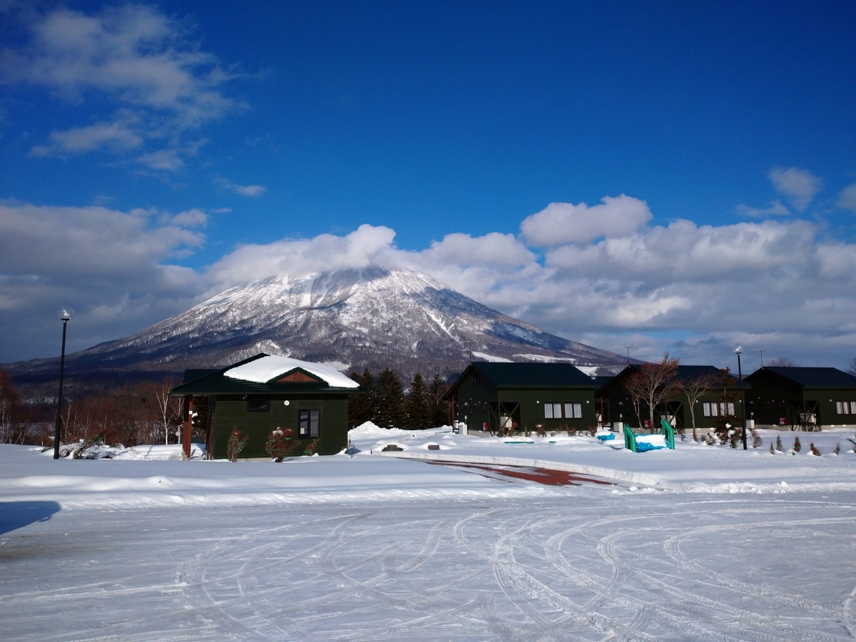 f:id:Legit_Innovation:20201216212737j:plain