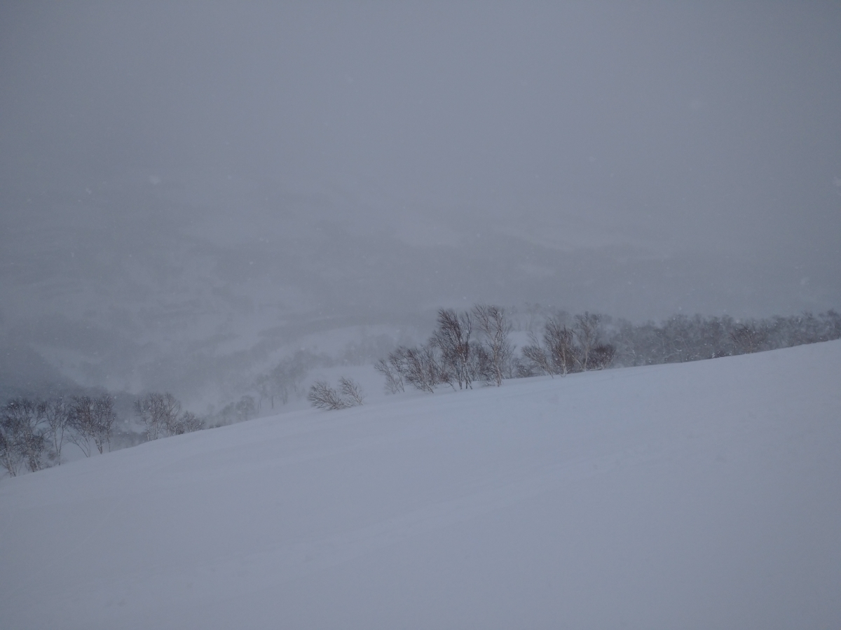 f:id:Legit_Innovation:20210326102130j:plain