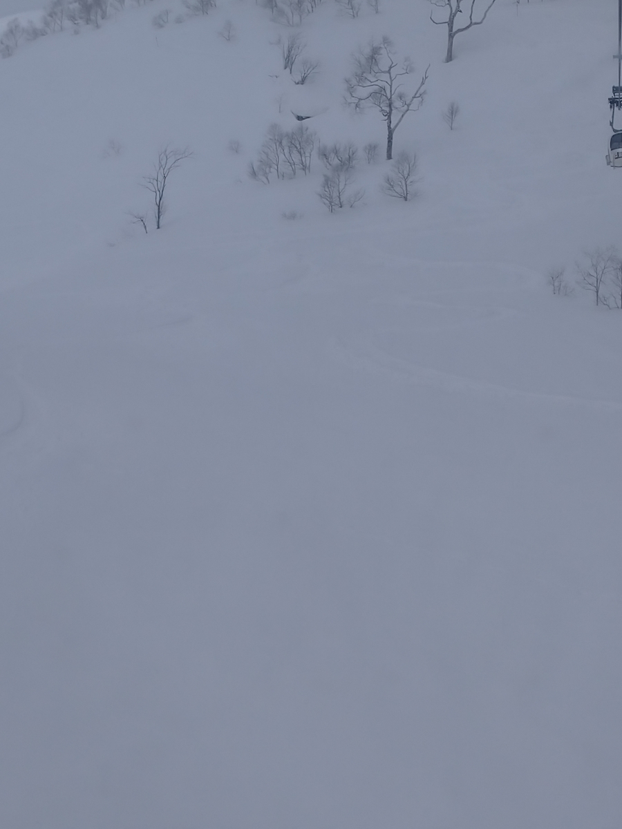 f:id:Legit_Innovation:20210326102207j:plain