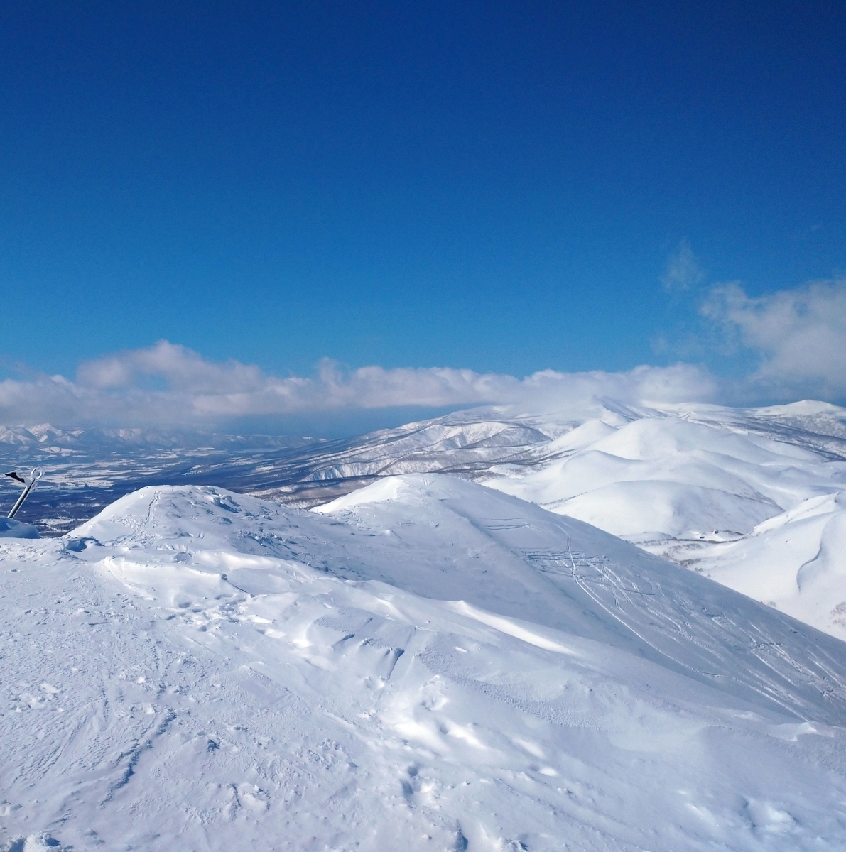 f:id:Legit_Innovation:20210326102336j:plain