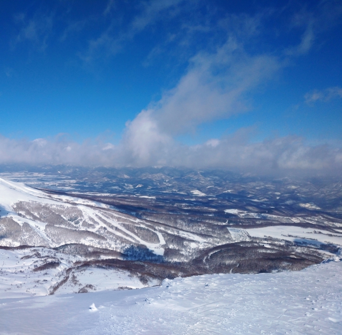 f:id:Legit_Innovation:20210326102344j:plain