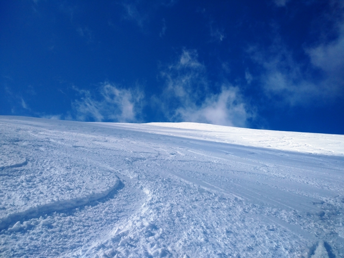 f:id:Legit_Innovation:20210326102417j:plain