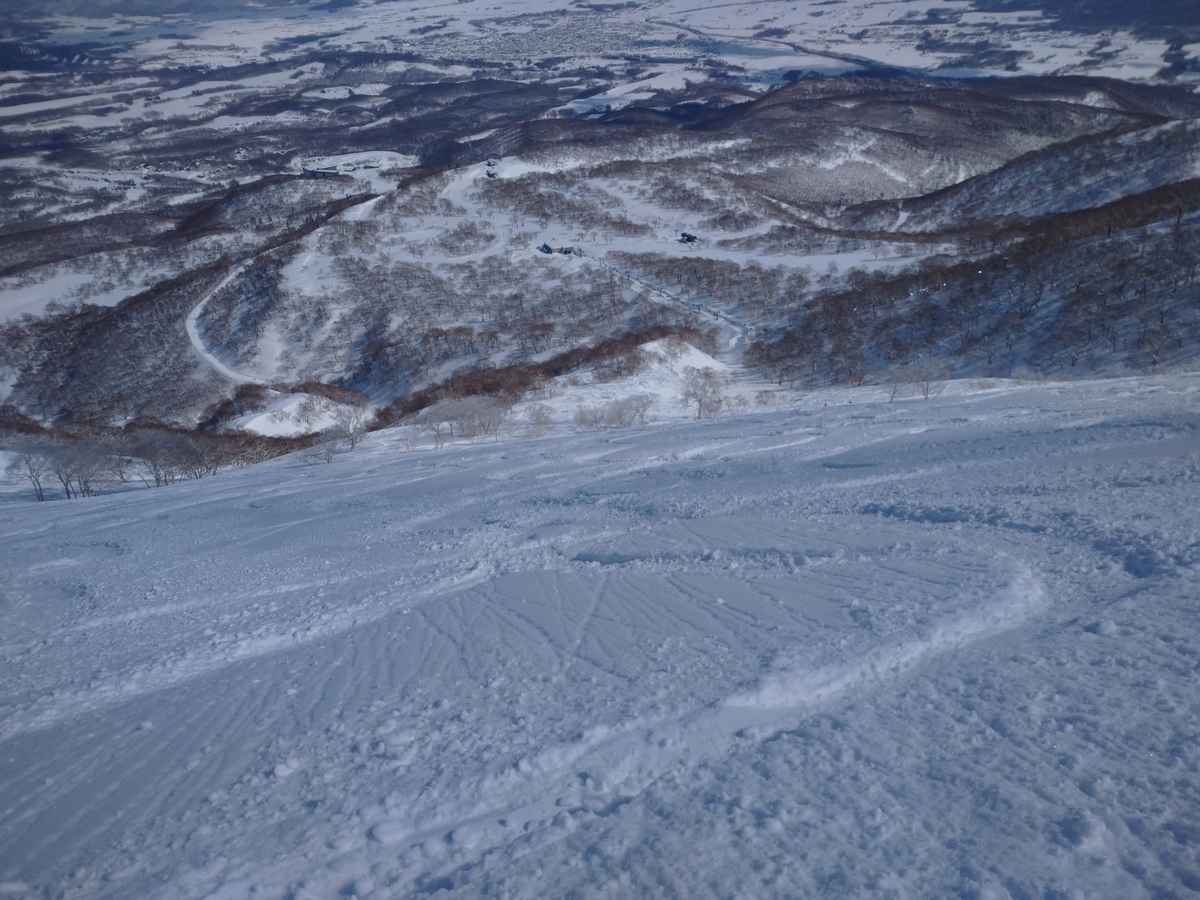 f:id:Legit_Innovation:20210326102424j:plain