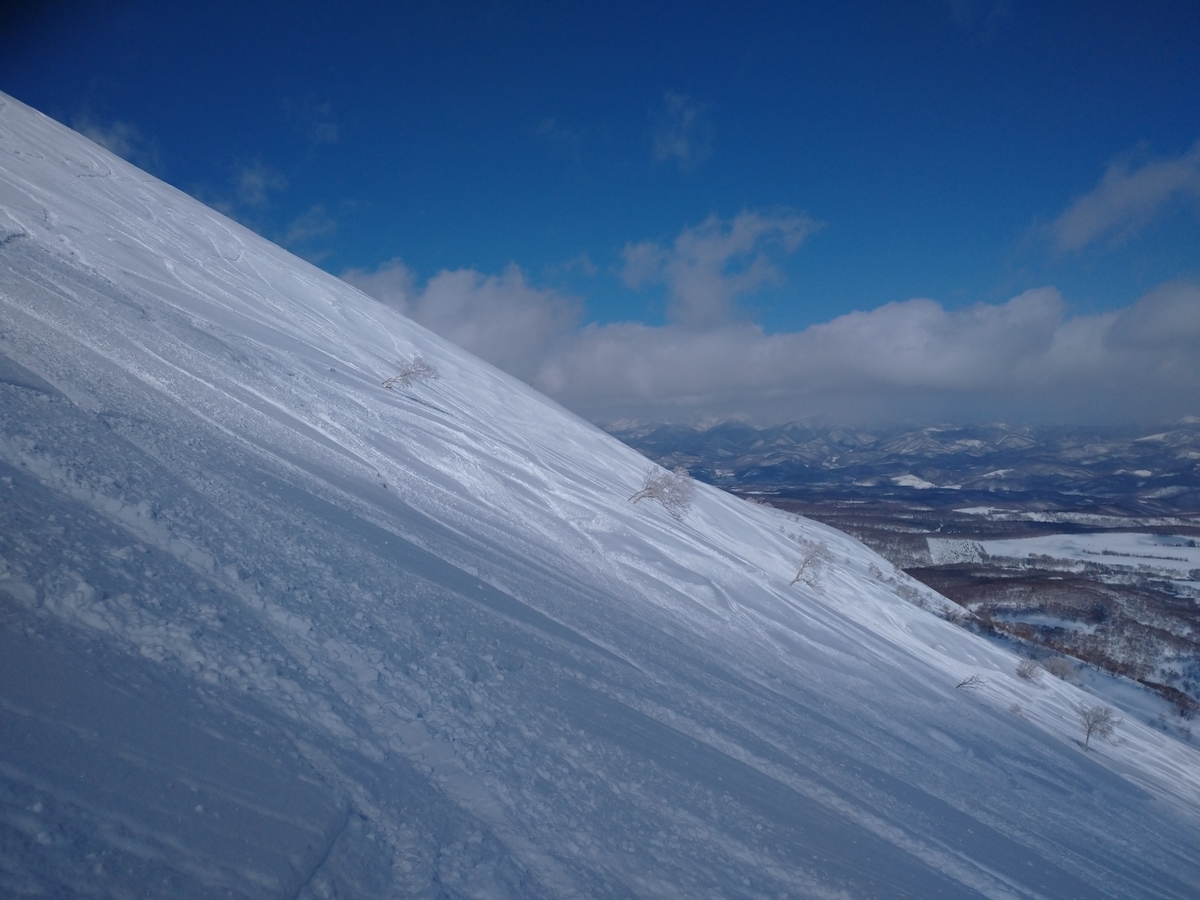 f:id:Legit_Innovation:20210326102432j:plain