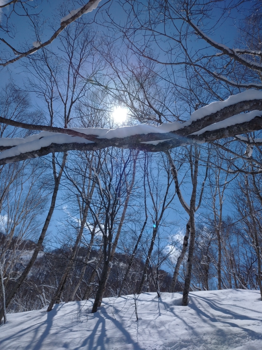 f:id:Legit_Innovation:20210326102443j:plain