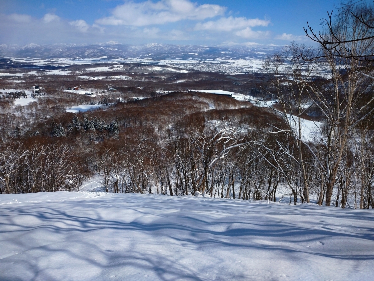 f:id:Legit_Innovation:20210326102452j:plain