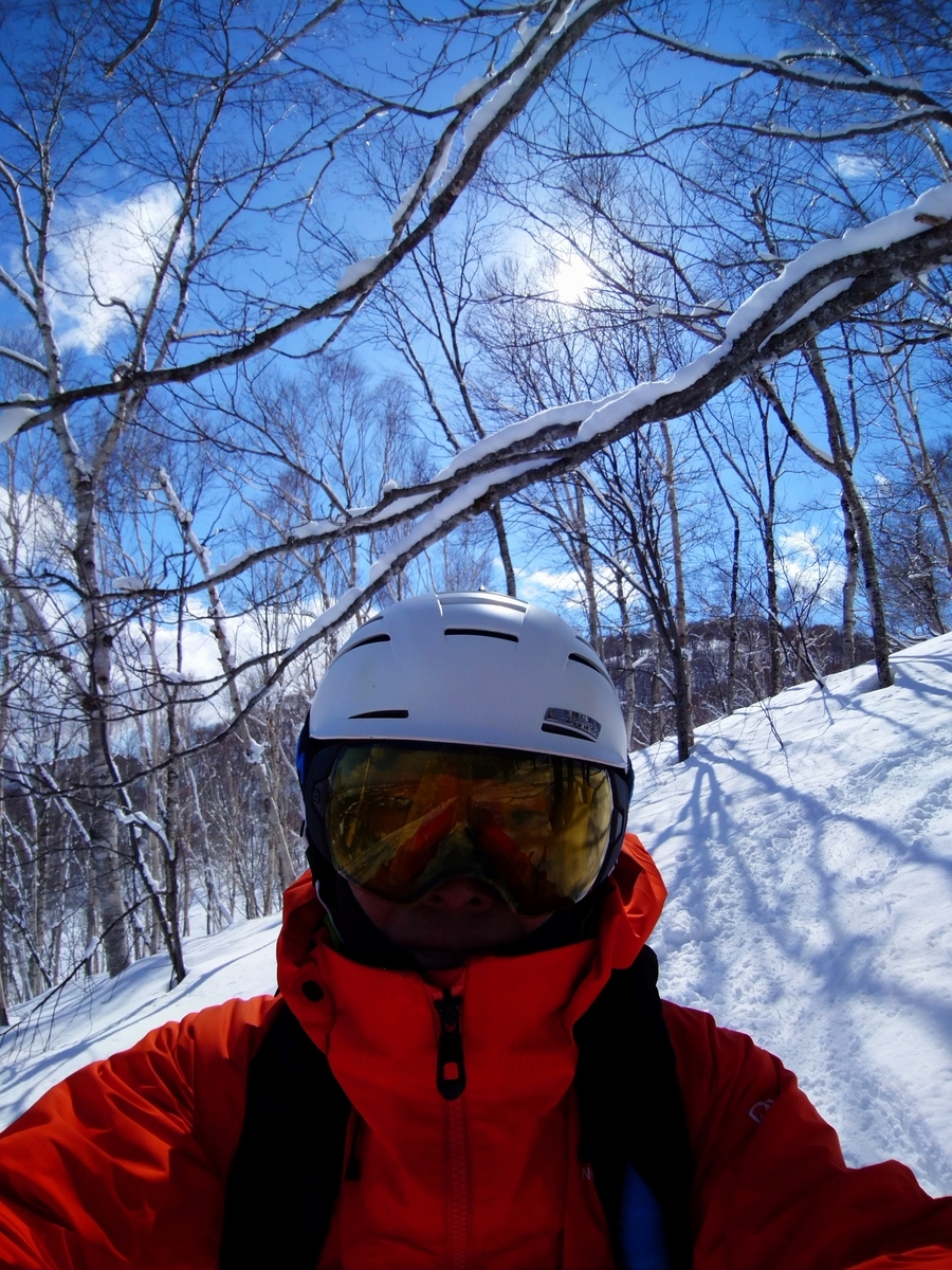 f:id:Legit_Innovation:20210326102456j:plain