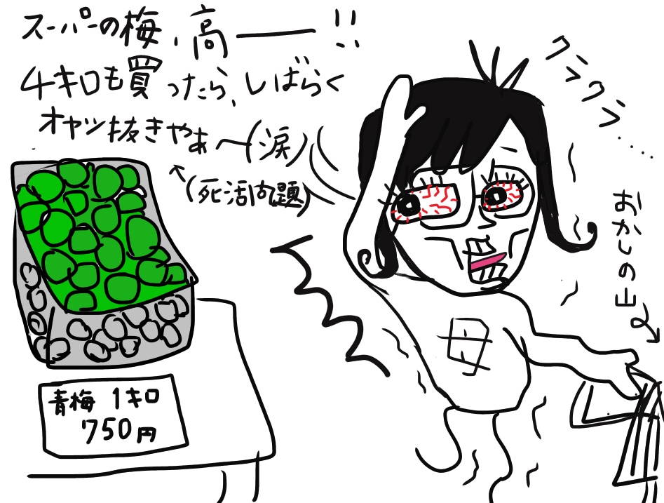 f:id:LegoFamily:20180523231904j:plain