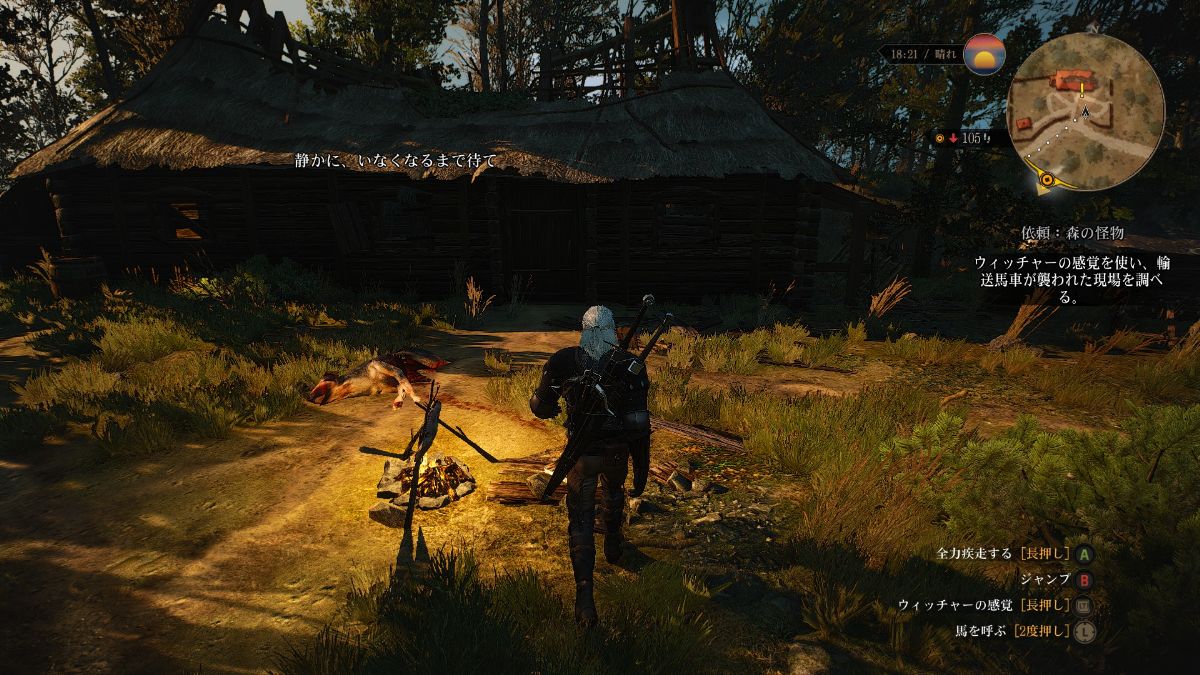 The Witcher 3 Wild Hunt プレイ日記 6 Leinのゲーム 備忘録