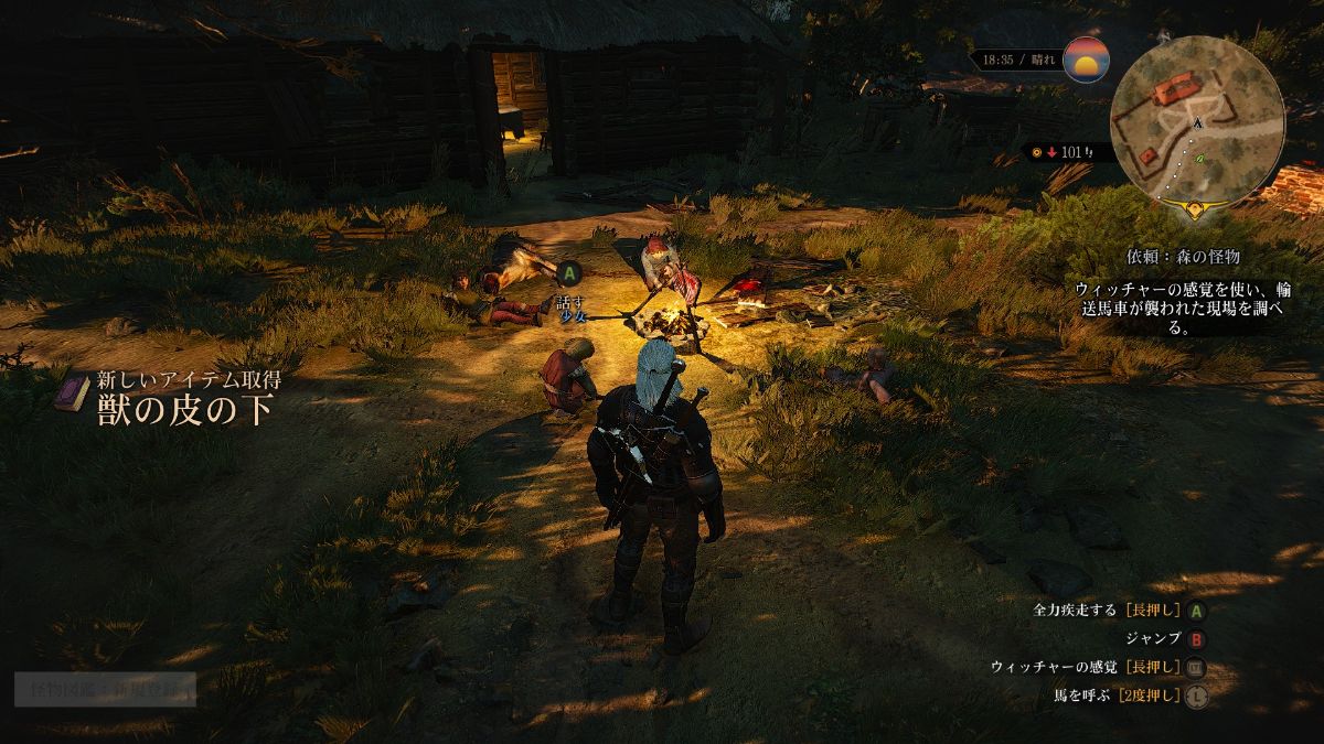 The Witcher 3 Wild Hunt プレイ日記 6 Leinのゲーム 備忘録