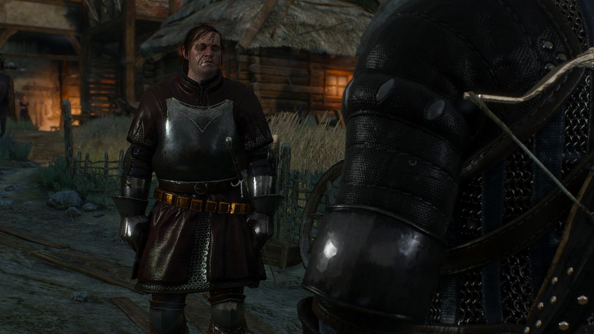 The Witcher 3 Wild Hunt プレイ日記 9 Leinのゲーム 備忘録