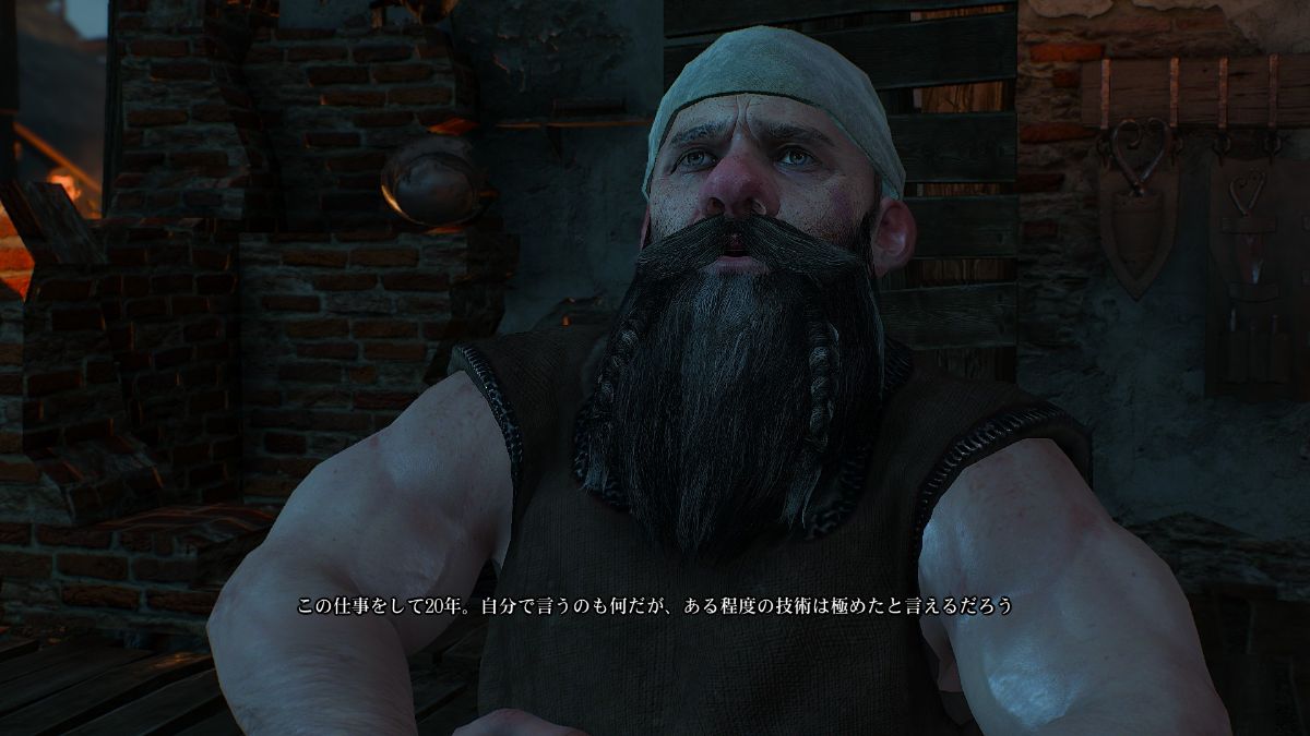 The Witcher 3 Wild Hunt プレイ日記 10 Leinのゲーム 備忘録