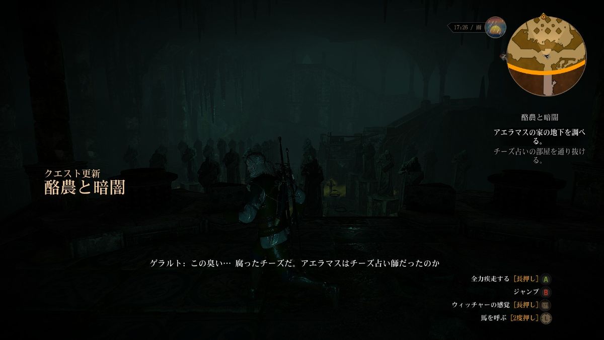 The Witcher 3 Wild Hunt プレイ日記 17 Leinのゲーム 備忘録