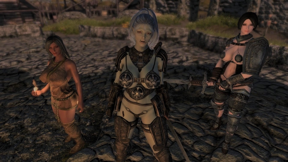 Skyrimse 21年 Pc版で使用しているmod紹介 Leinのゲーム 備忘録