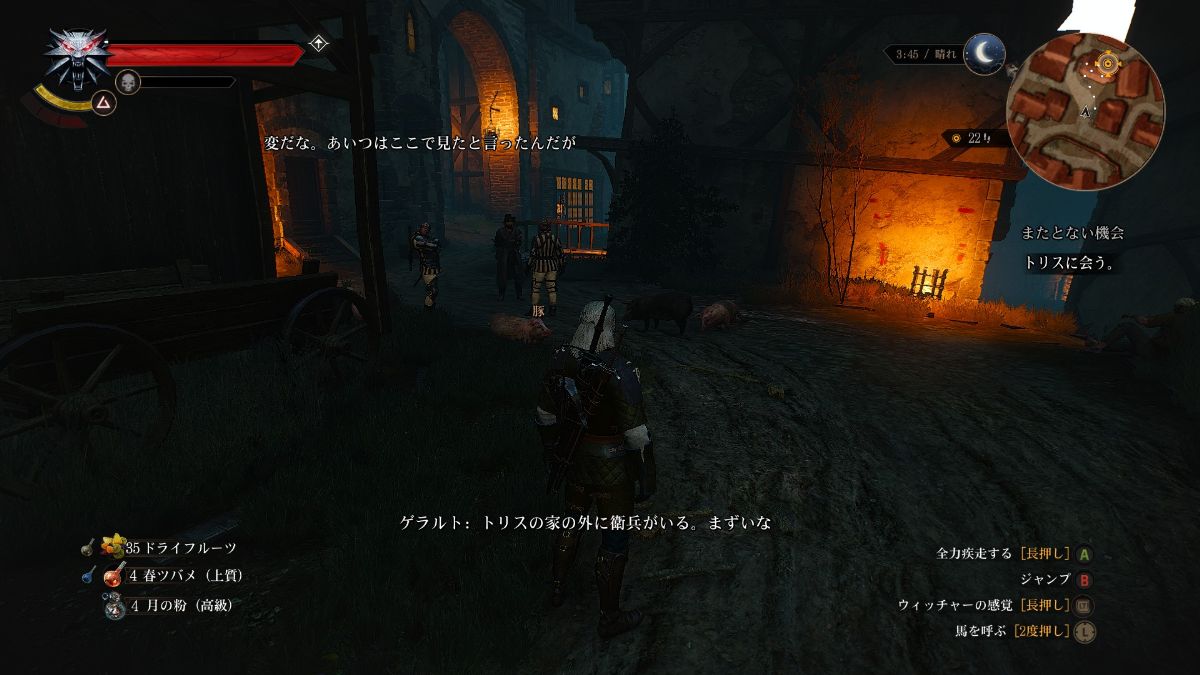 The Witcher 3 Wild Hunt プレイ日記 27 Leinのゲーム 備忘録 The Witcher 3 Wild Hunt プレイ日記 27 Leinのゲーム 備忘録