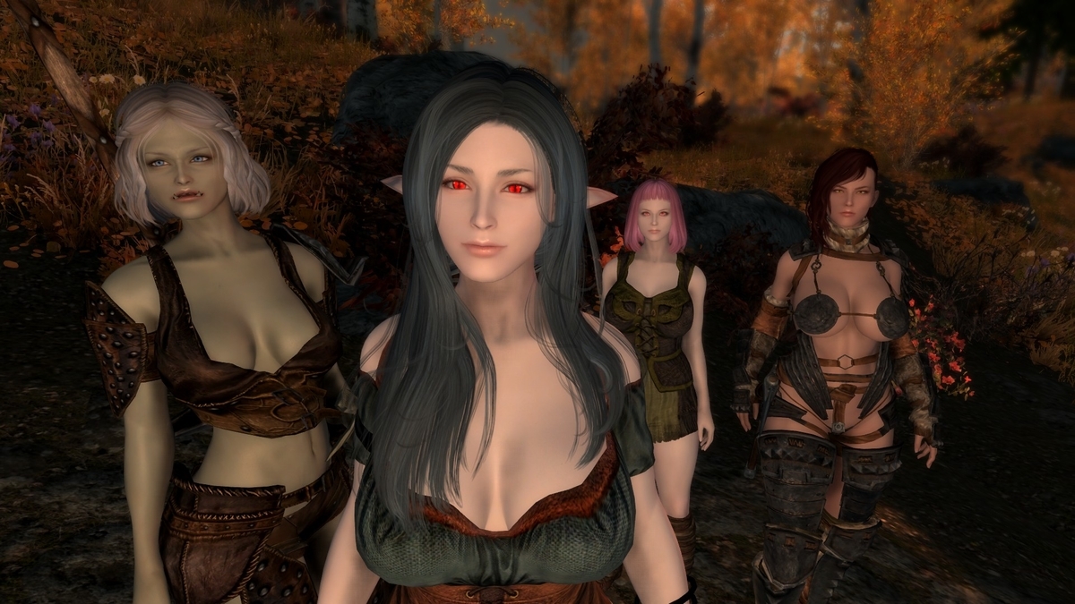 Skyrimse 2021年 Pc版で使用しているmod紹介 Leinのゲーム 備忘録