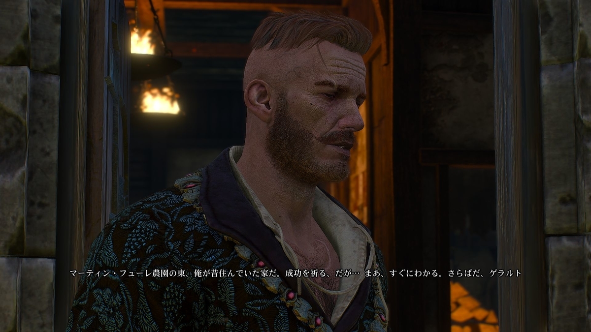 The Witcher 3 Wild Hunt プレイ日記 57 Hearts Of Stone Leinのゲーム 備忘録