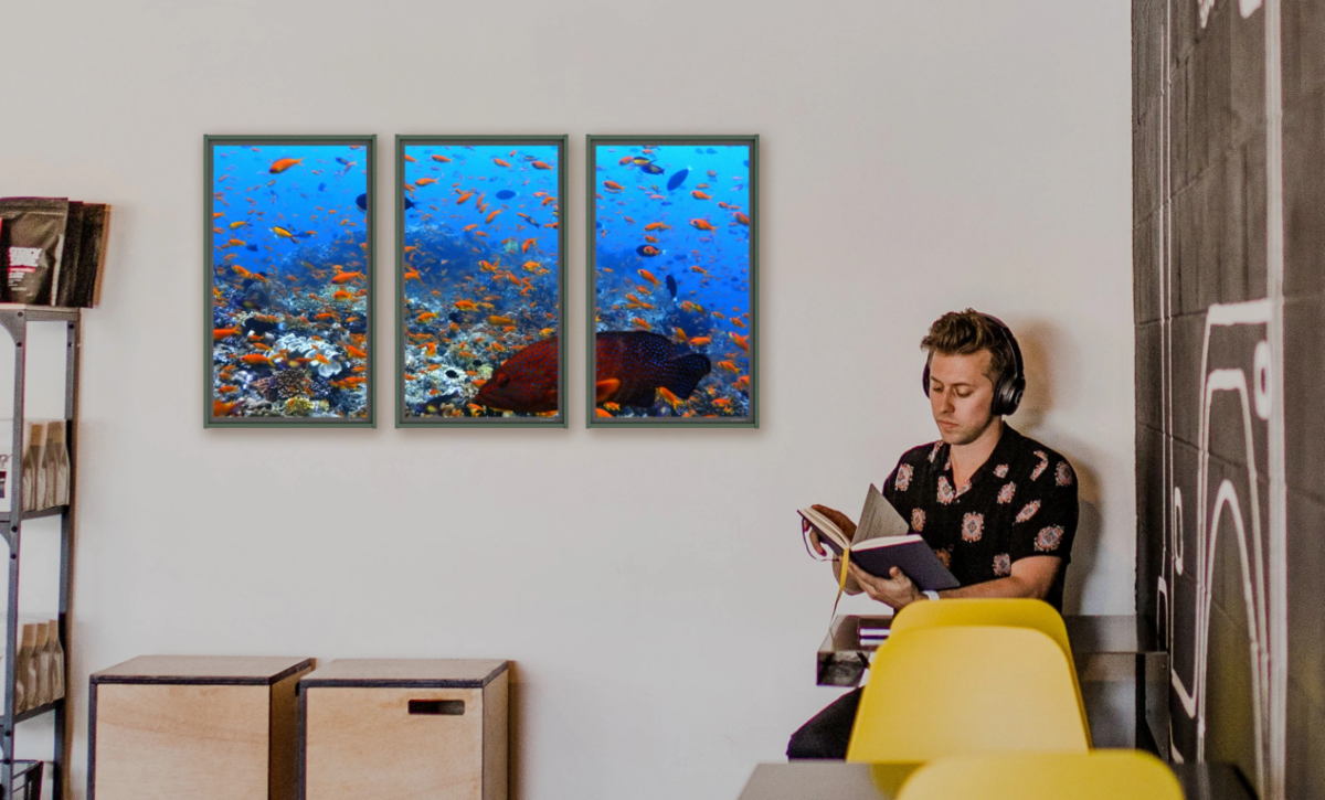 f:id:Lemonediscream:20200719182226p:plain