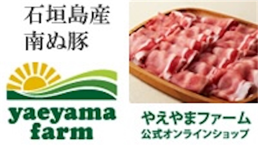 f:id:Lemontee039:20201112035930j:image