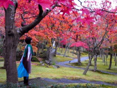 f:id:Leo16:20100405145140j:image:h220 f:id:Leo16:20100405145140j:image:h220