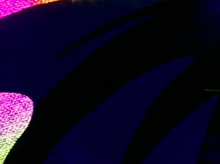 f:id:Leo16:20100502045650j:image:h170:w222