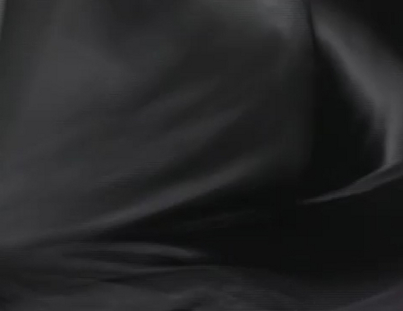 f:id:Leo16:20100502054603j:image:h170:w222